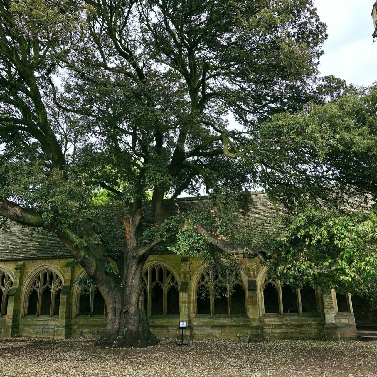 Oxford Harry Potter Film Locations Walking Tour - Photo 1 of 6